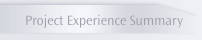 Project Experience Summary